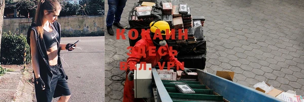 дурь Сафоново