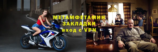 прущие грибы Заволжск