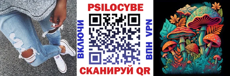 Псилоцибиновые грибы Cubensis  цены   Волчанск 